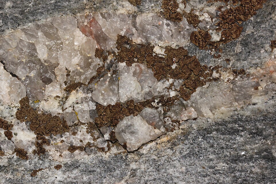 Cracked Lichen