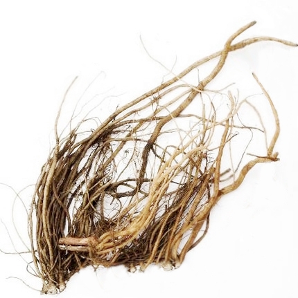 Japanese Chaff Flower