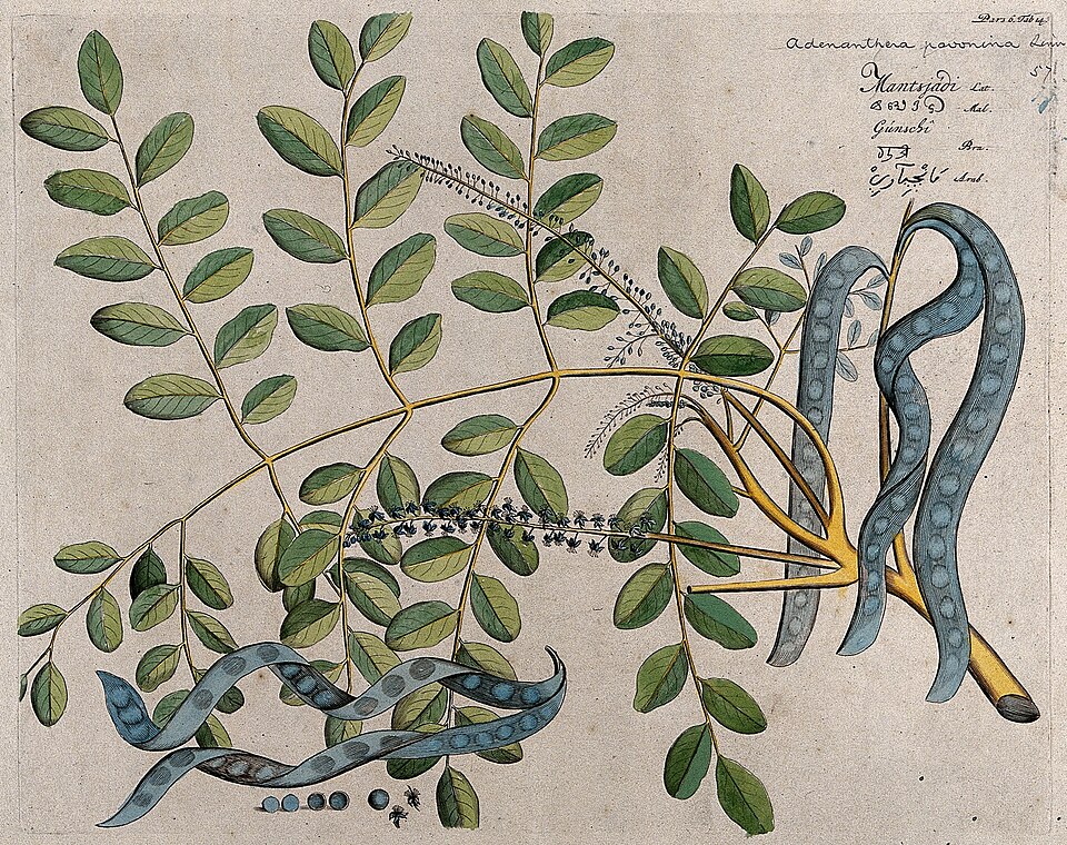 Beadtree