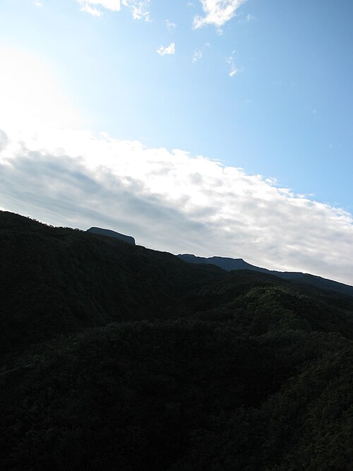 Eke Silversword