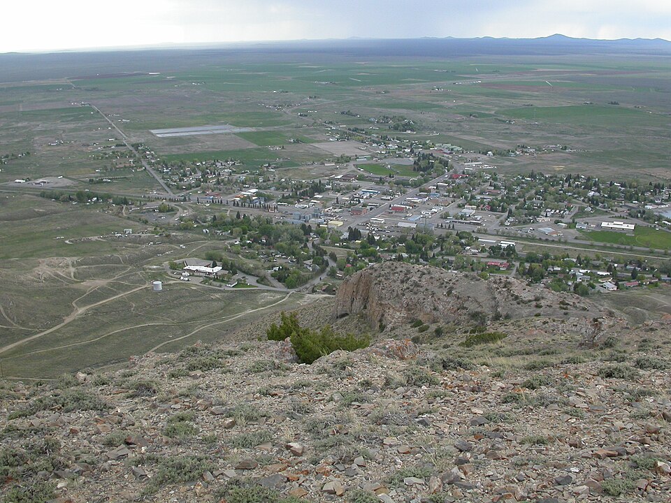 Little Sagebrush