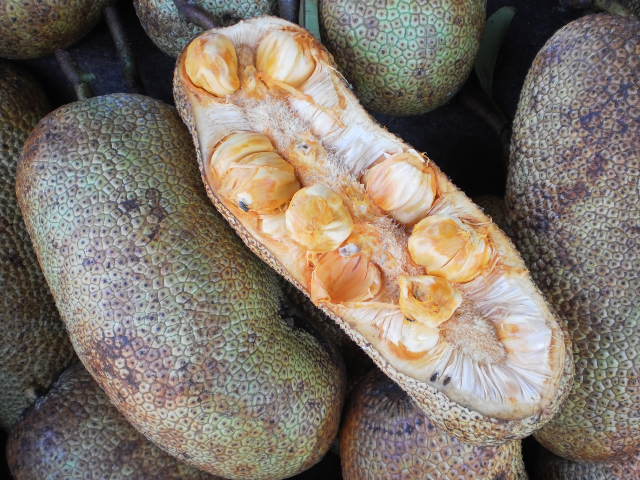 Chempedak