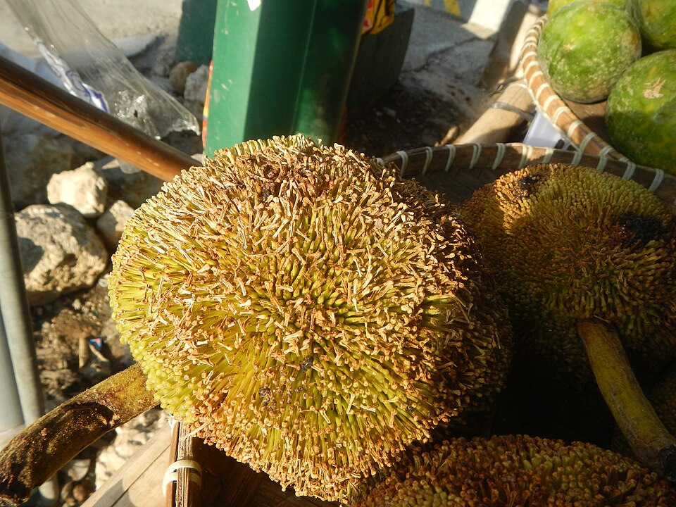 Marang