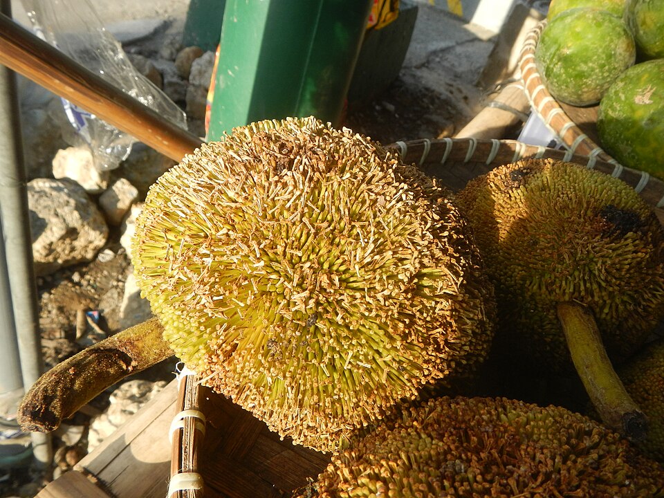 Marang